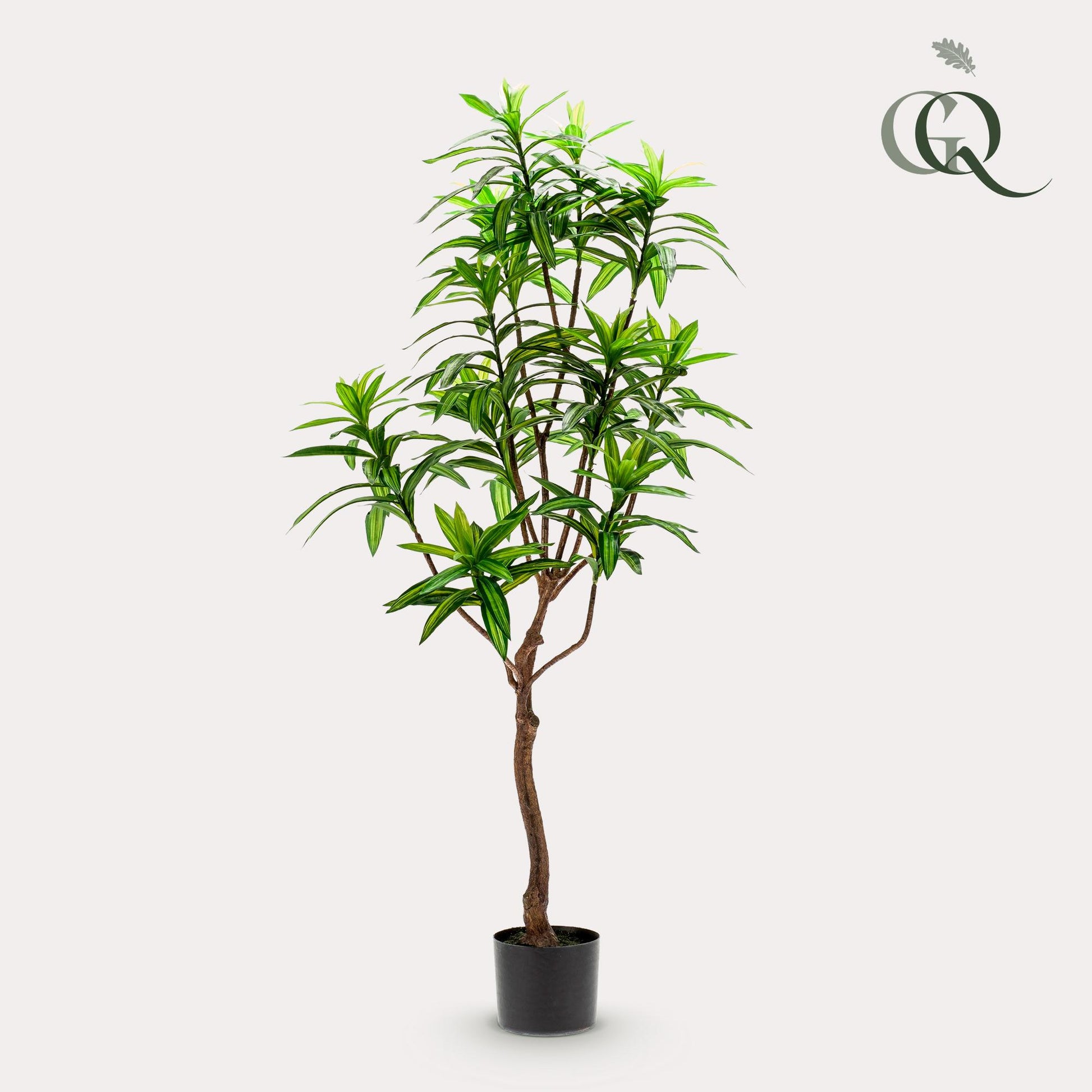 Kunstplant - Dracaena - Drakenboom - 130 cm - Forest Plants