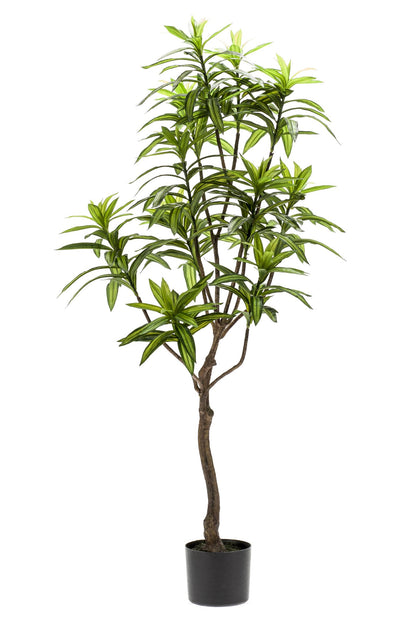 Kunstplant - Dracaena - Drakenboom - 130 cm - Forest Plants