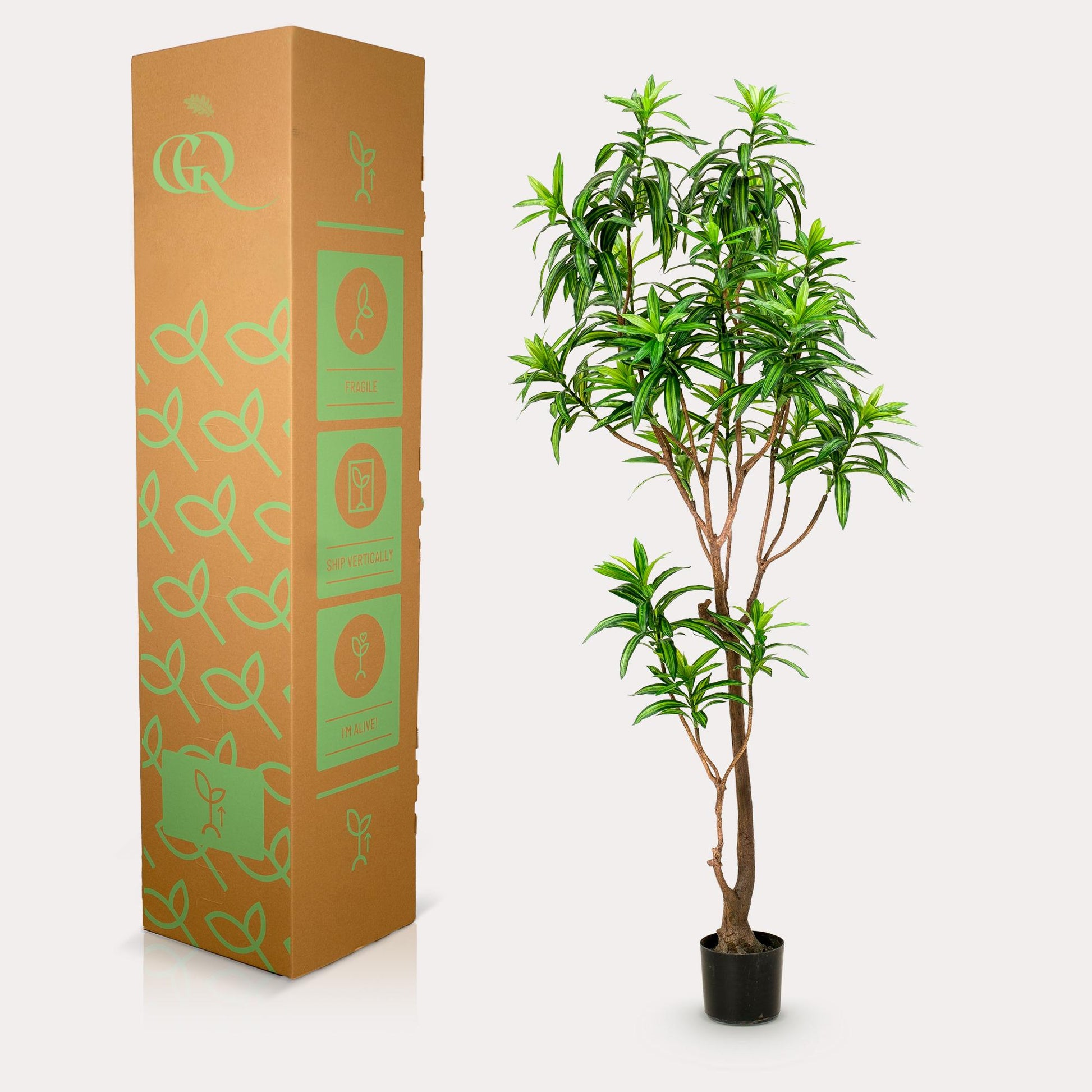 Kunstplant - Dracaena - Drakenboom - 190 cm - Forest Plants