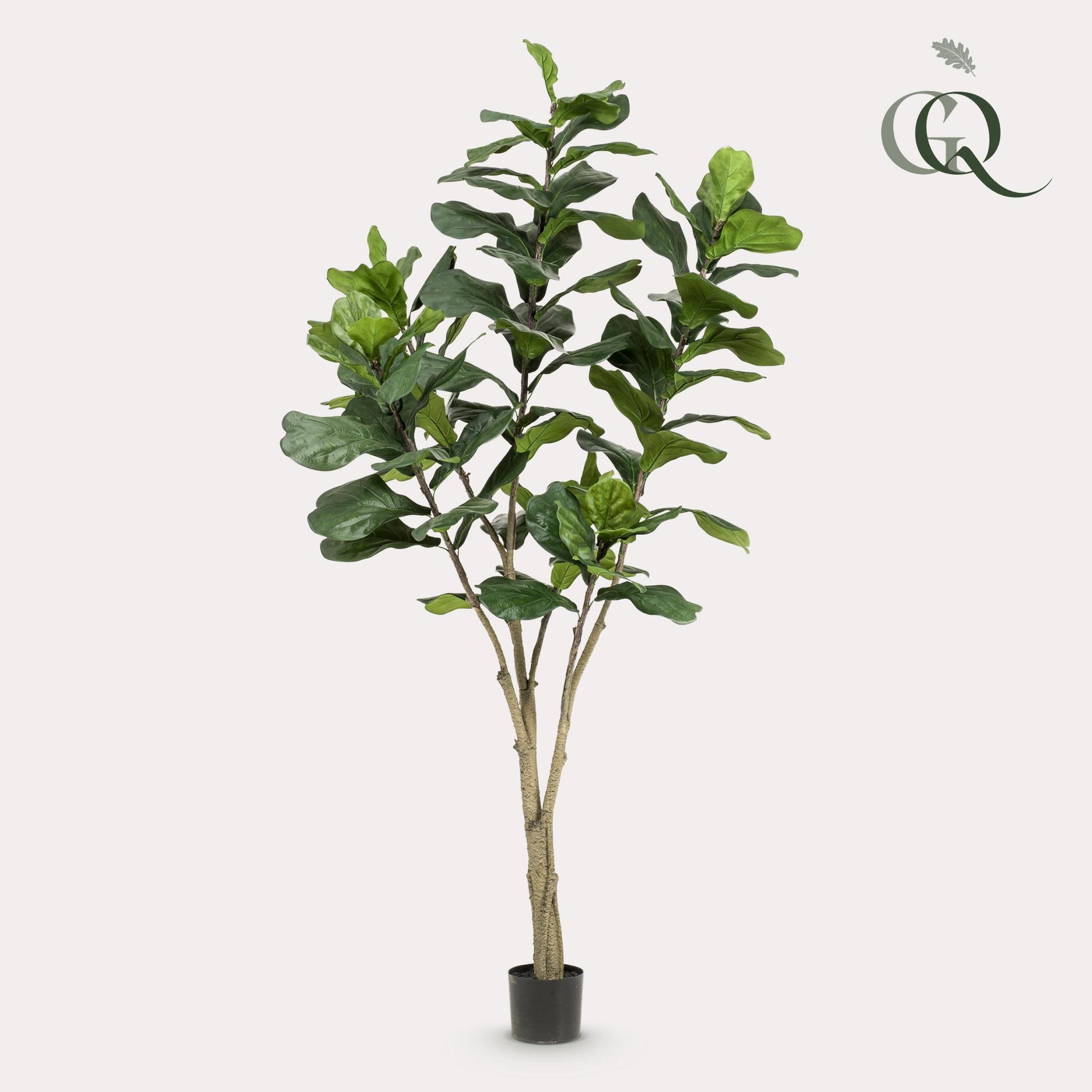 Kunstplant - Ficus Lyrata - Tabaksplant - 210 cm - Forest Plants