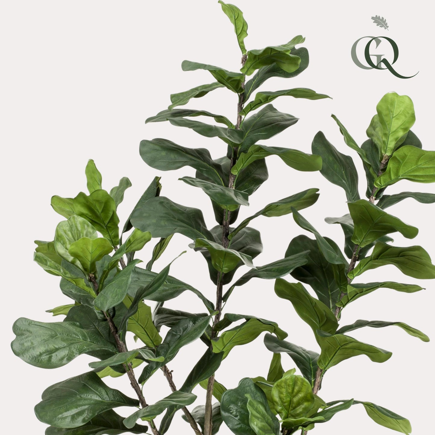 Kunstplant - Ficus Lyrata - Tabaksplant - 210 cm - Forest Plants