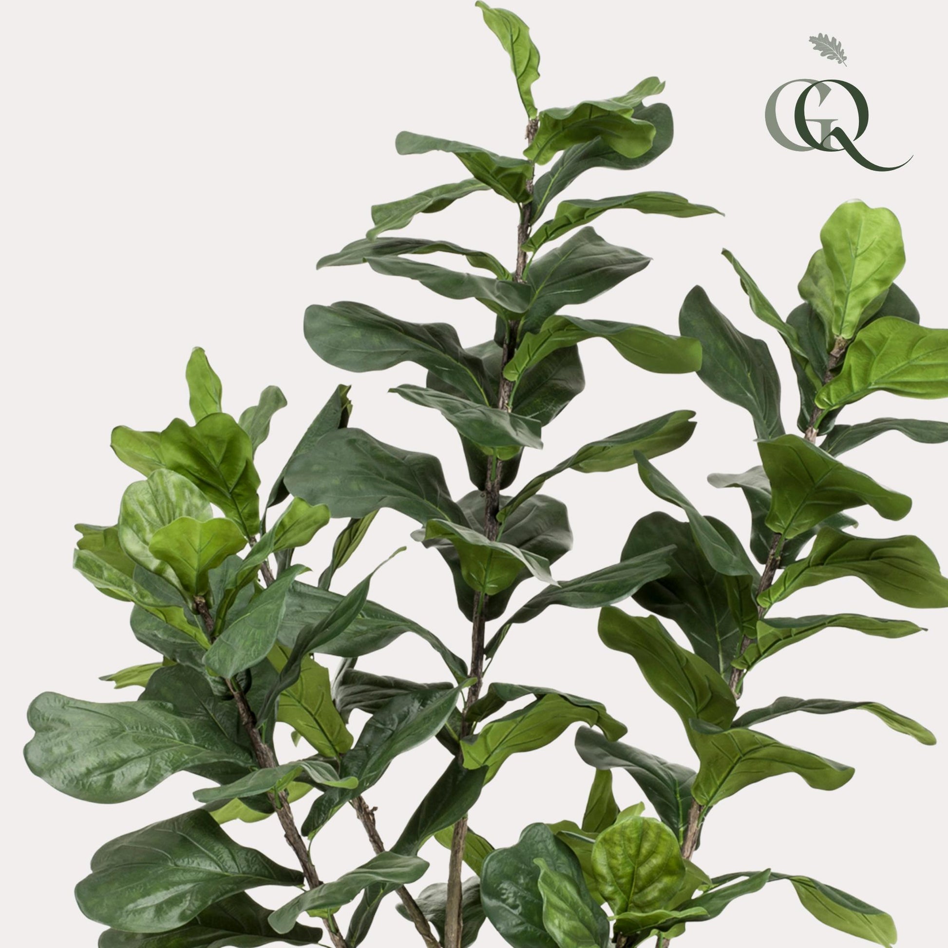 Kunstplant - Ficus Lyrata - Tabaksplant - 210 cm - Forest Plants