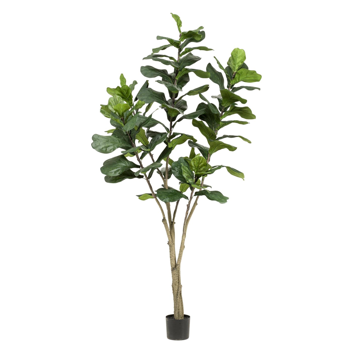 Kunstplant - Ficus Lyrata - Tabaksplant - 210 cm - Forest Plants