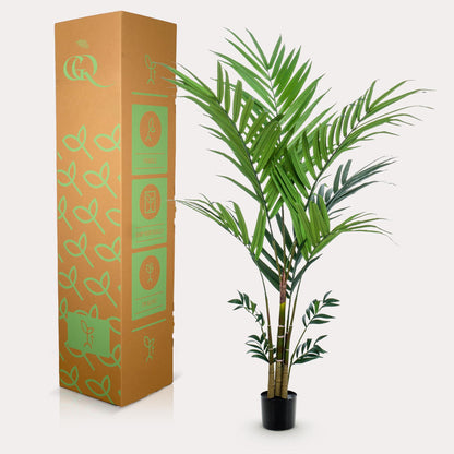 Kunstplant - Kentia - Kentiapalm - 180 cm - Forest Plants