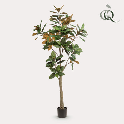 Kunstplant - Magnolia Grandiflora - 180 cm - Forest Plants