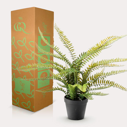 Kunstplant - Nephrolepis Exaltata - Bostonvaren - 55 cm - Forest Plants