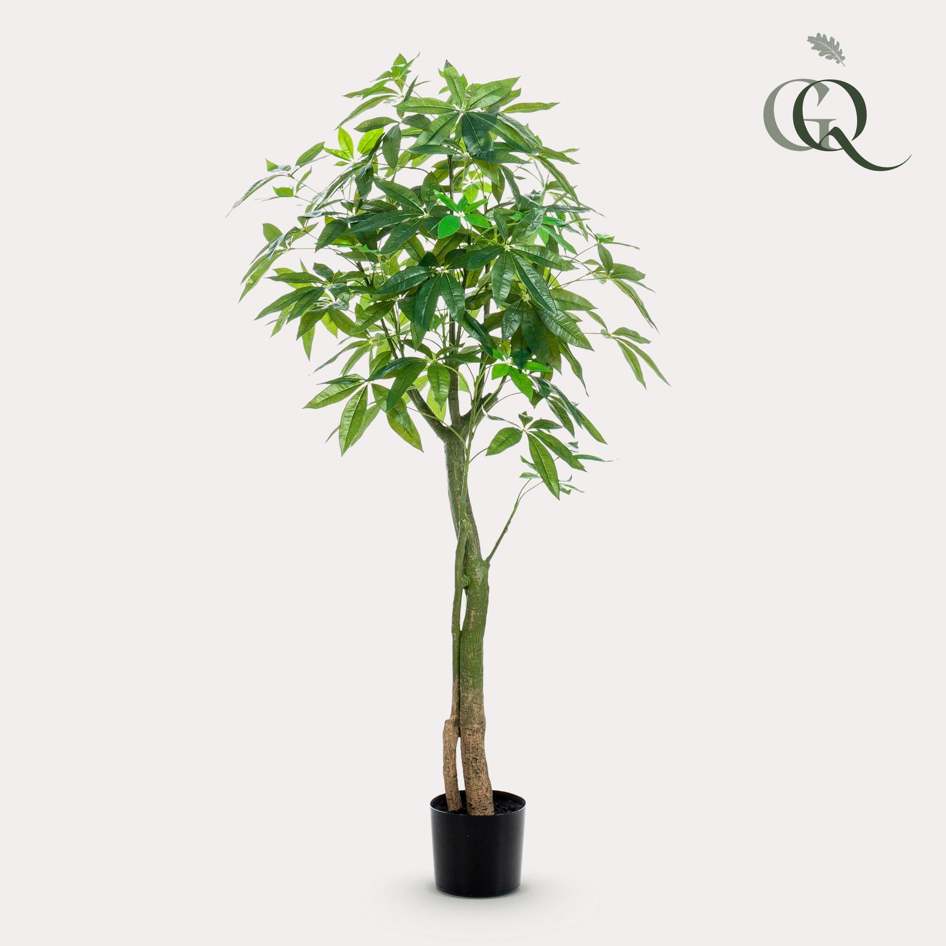 Kunstplant - Pachira Aquatica - Geldboom - 150 cm - Forest Plants