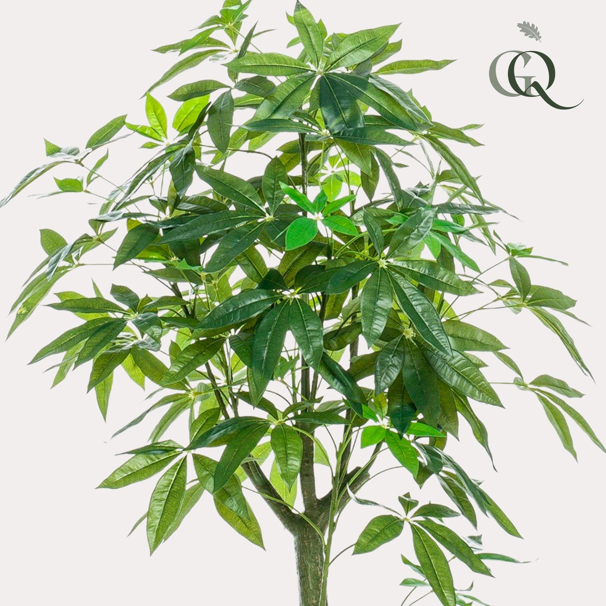 Kunstplant - Pachira Aquatica - Geldboom - 150 cm - Forest Plants