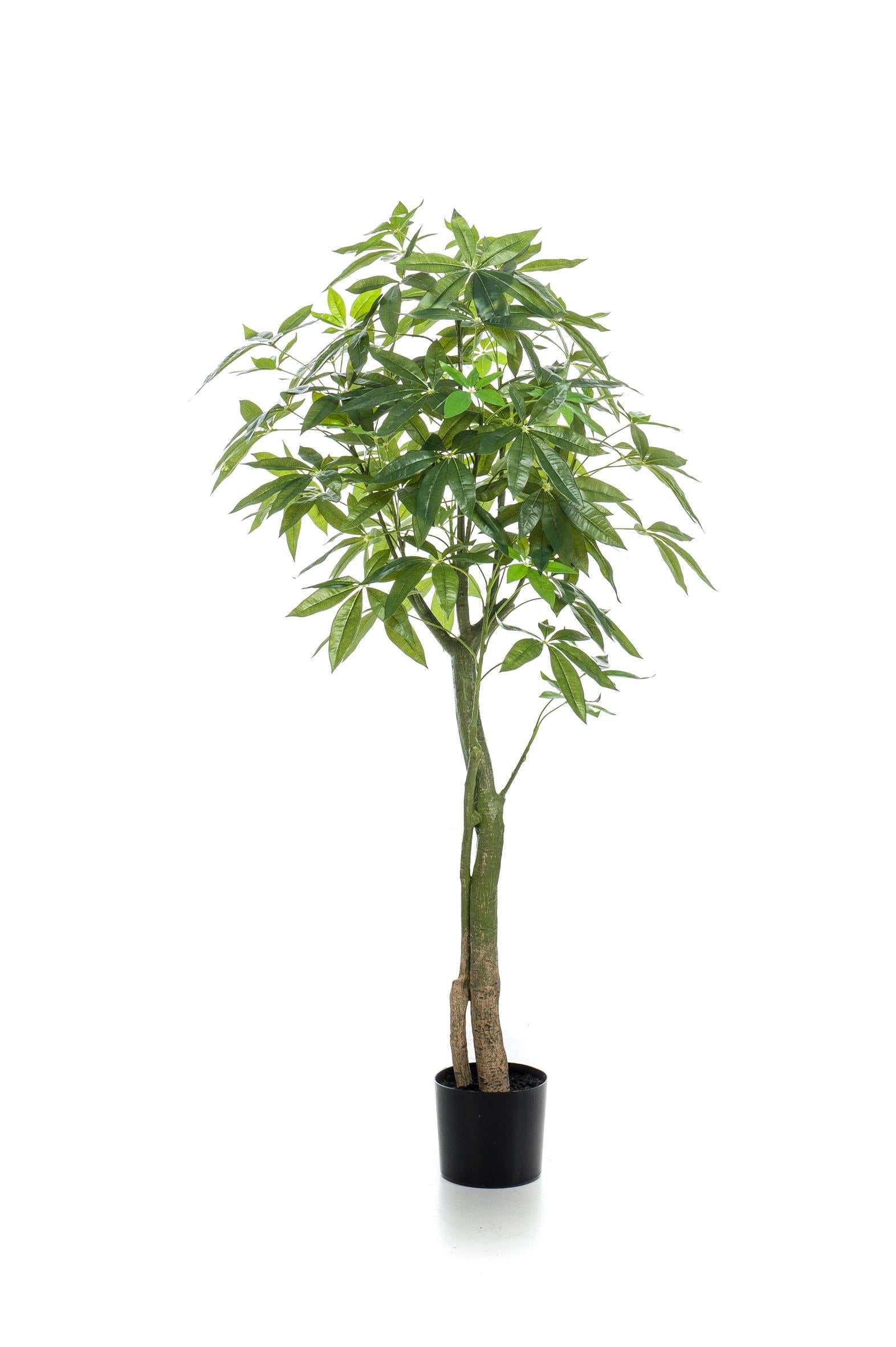 Kunstplant - Pachira Aquatica - Geldboom - 150 cm - Forest Plants