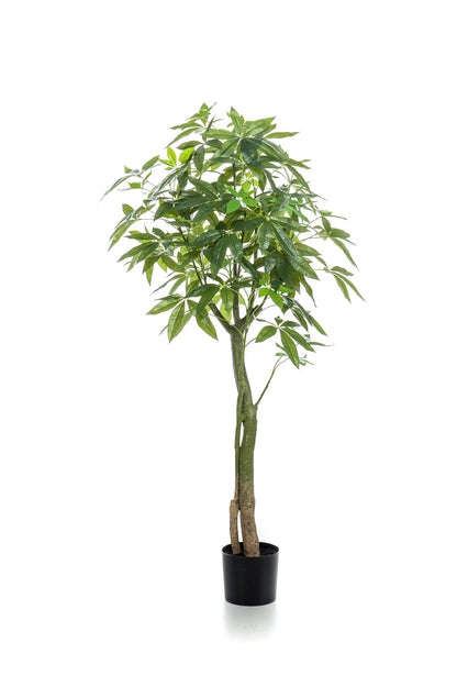 Kunstplant - Pachira Aquatica - Geldboom - 150 cm - Forest Plants