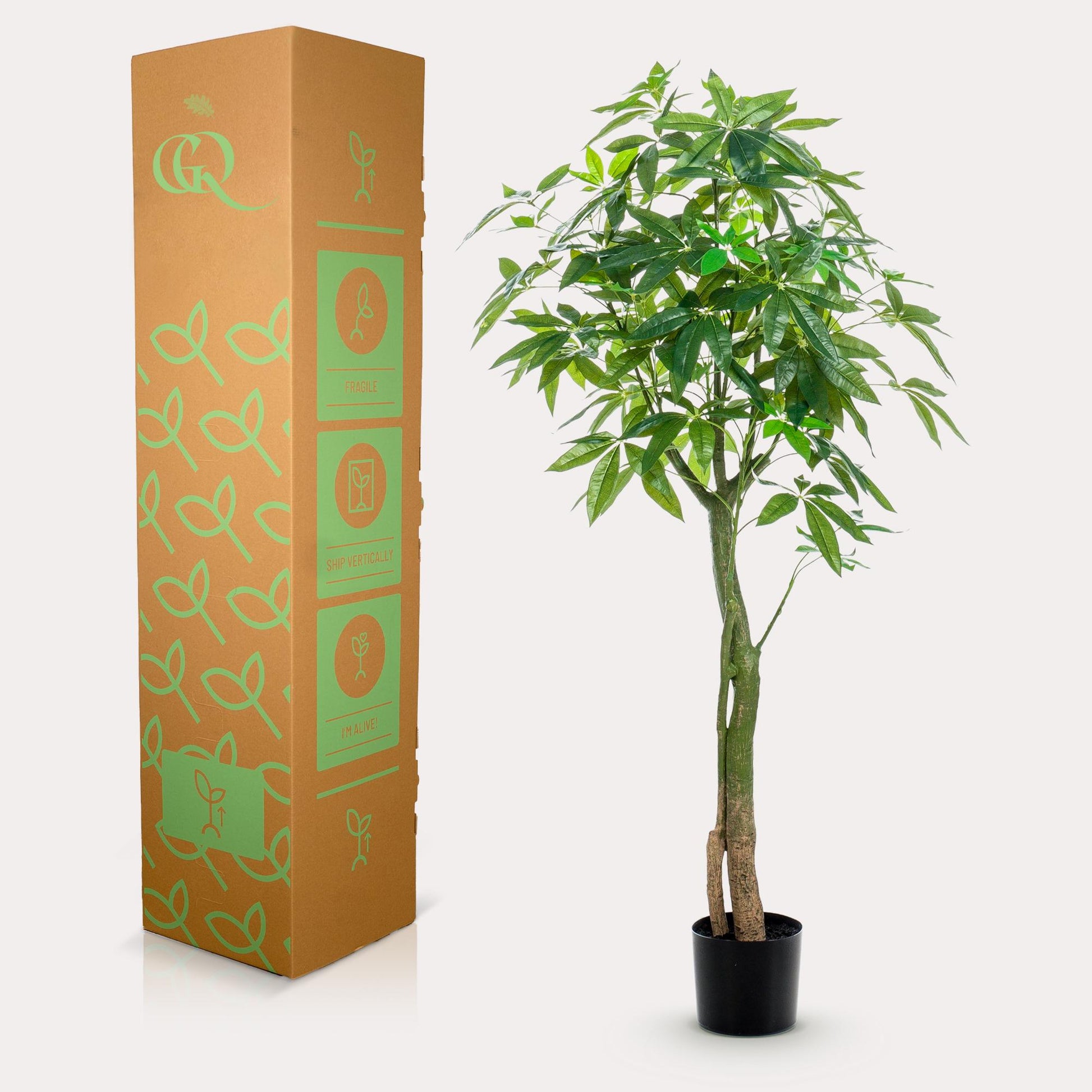Kunstplant - Pachira Aquatica - Geldboom - 150 cm - Forest Plants