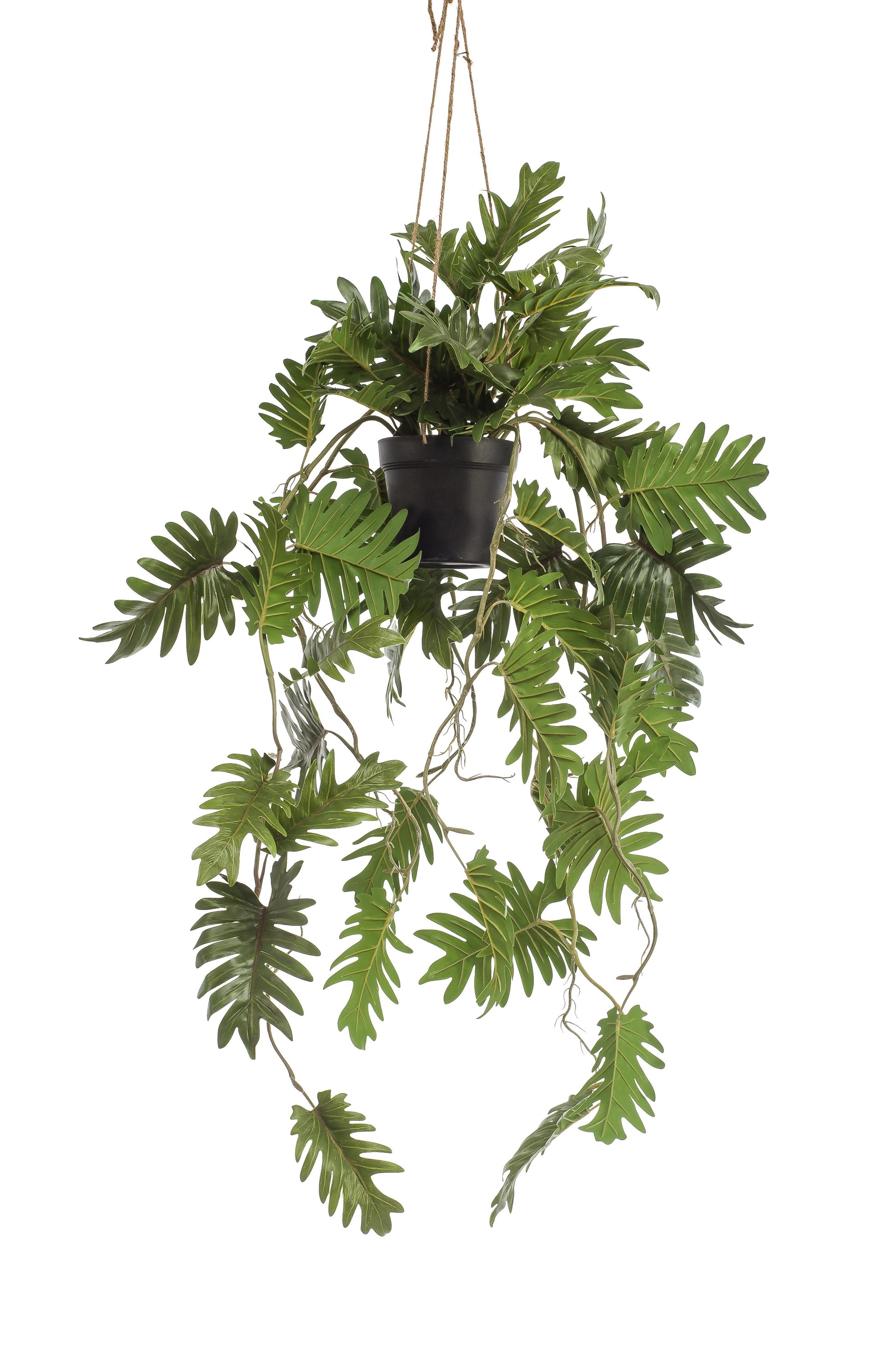 Kunstplant - Philodendron - Klimmende boomliefhebber - 80 cm - Forest Plants