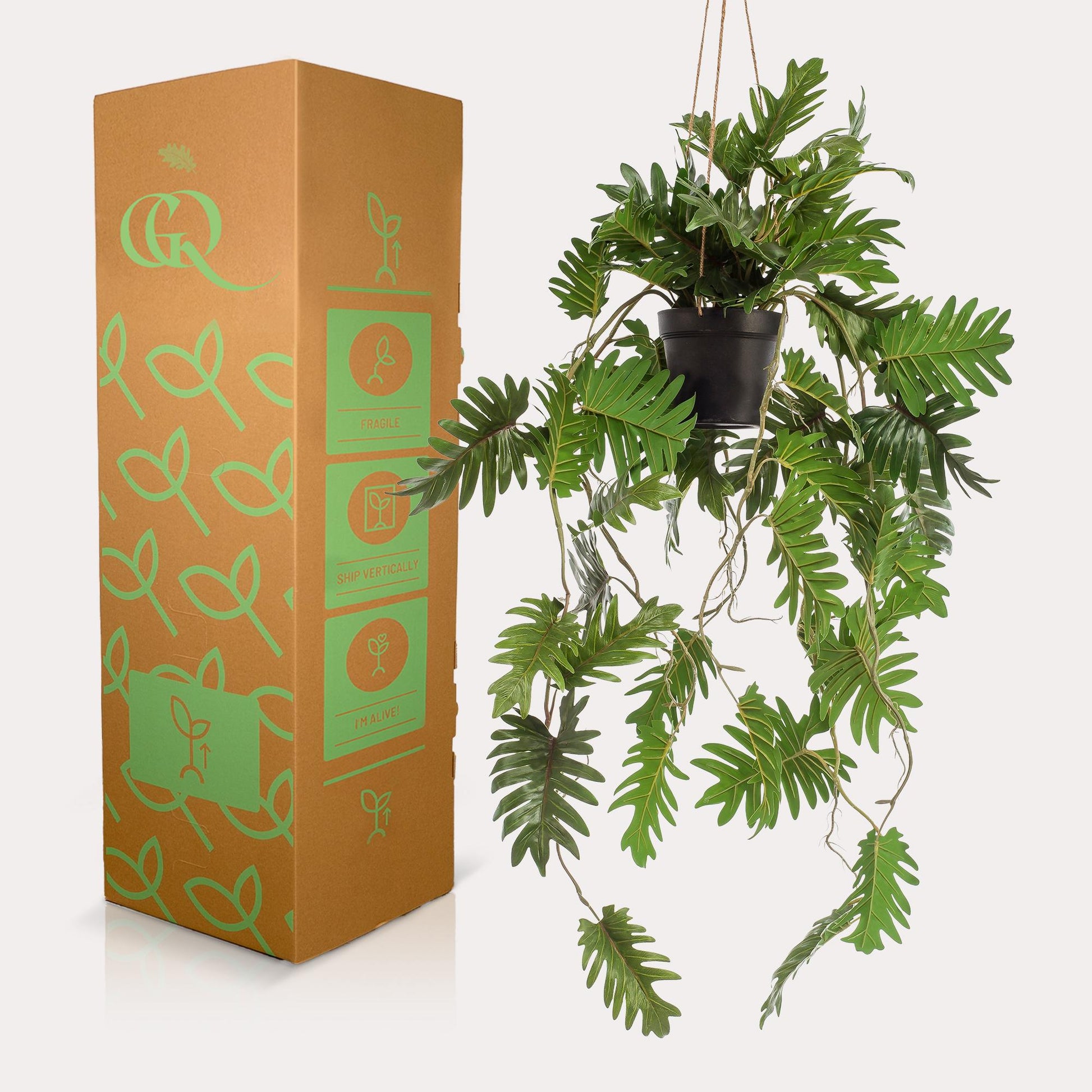 Kunstplant - Philodendron - Klimmende boomliefhebber - 80 cm - Forest Plants