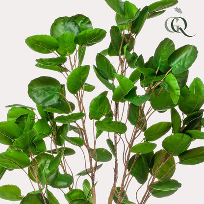 Kunstplant - Polyscias - Aralia - 150 cm - Forest Plants