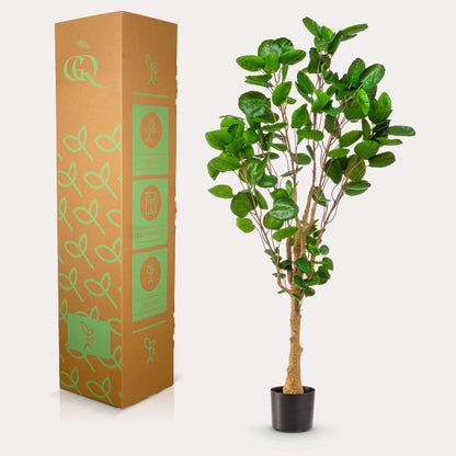Kunstplant - Polyscias - Aralia - 150 cm - Forest Plants