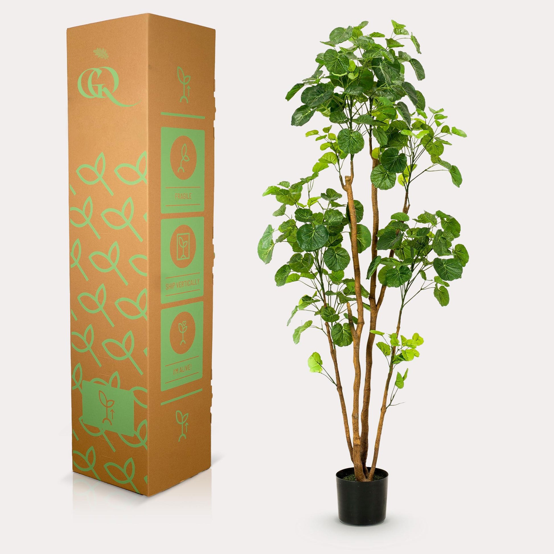 Kunstplant - Polyscias - Aralia - 160 cm - Forest Plants