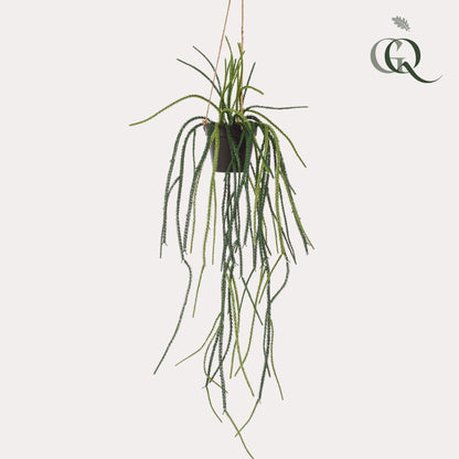 Kunstplant - Rhypsalis - Koraalcactus - 85 cm - Forest Plants