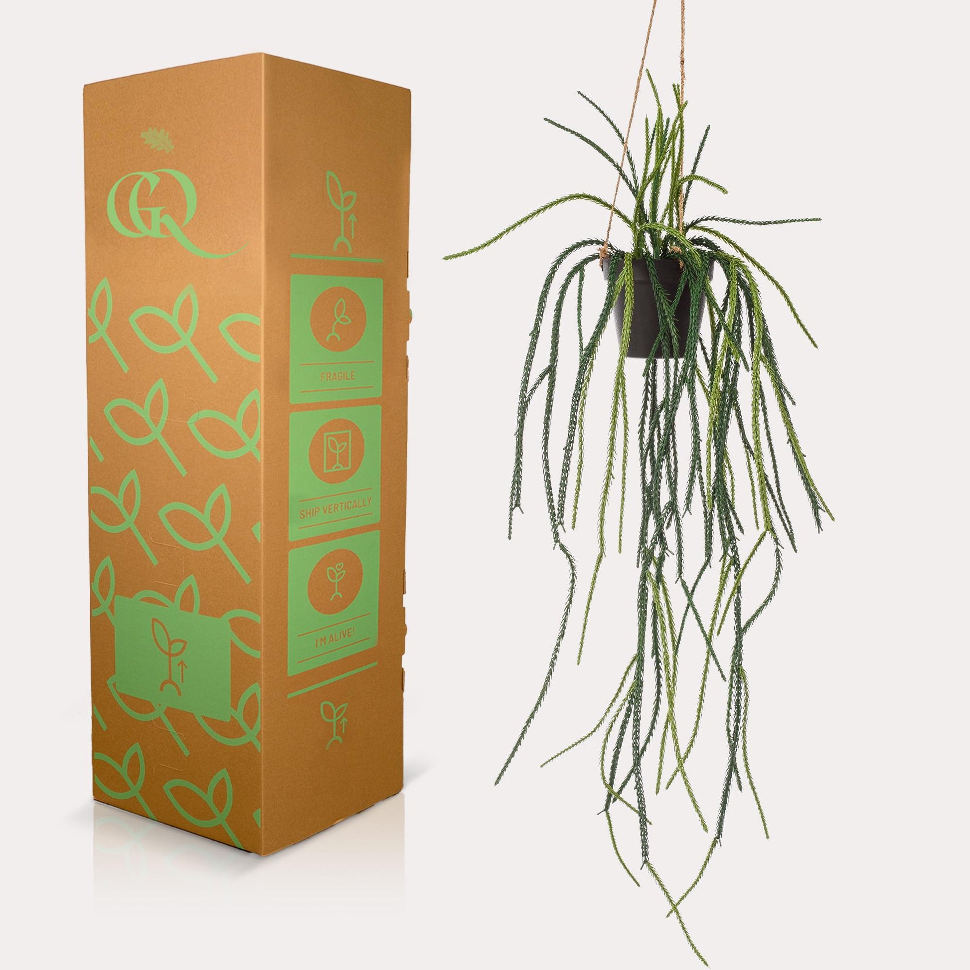 Kunstplant - Rhypsalis - Koraalcactus - 85 cm - Forest Plants