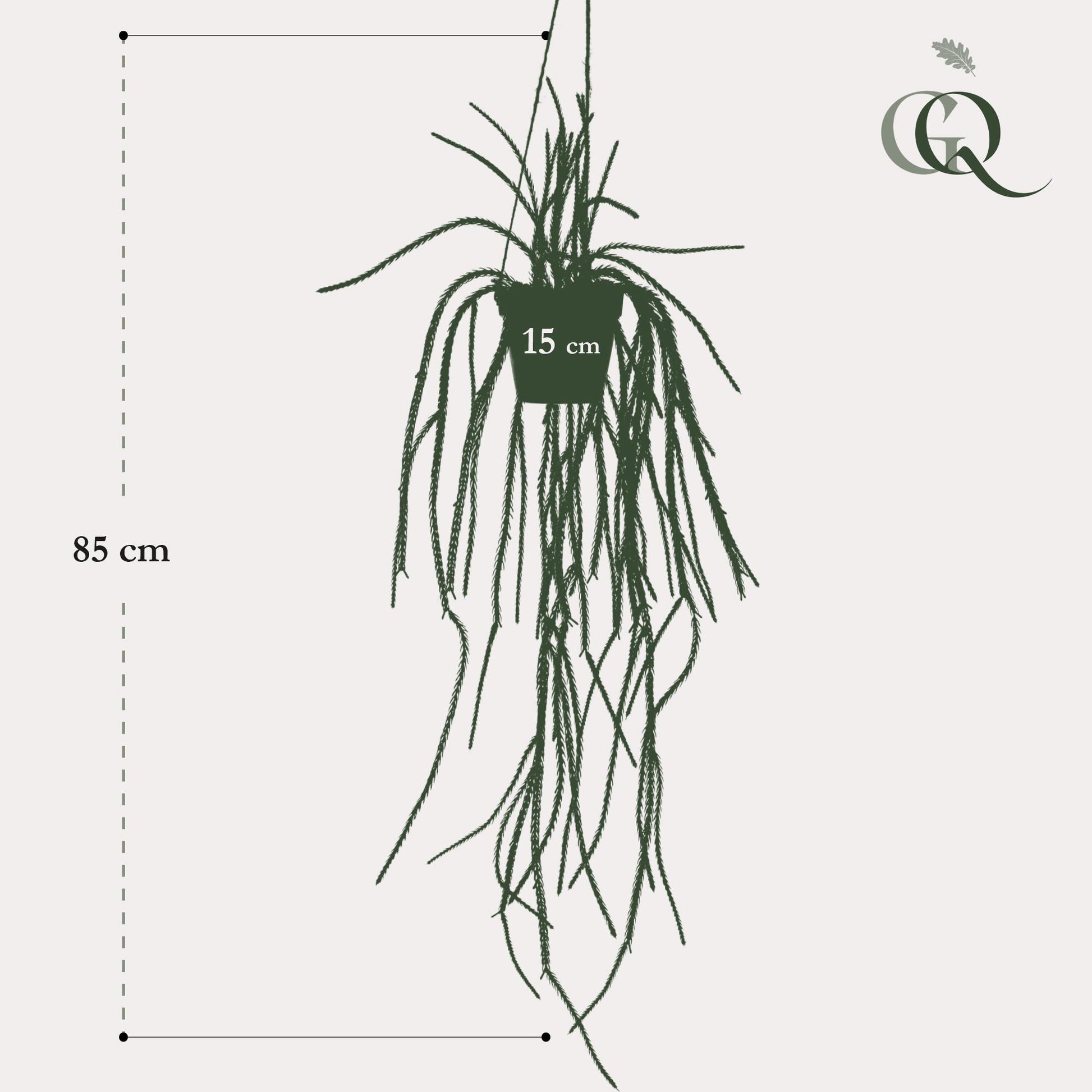 Kunstplant - Rhypsalis - Koraalcactus - 85 cm - Forest Plants