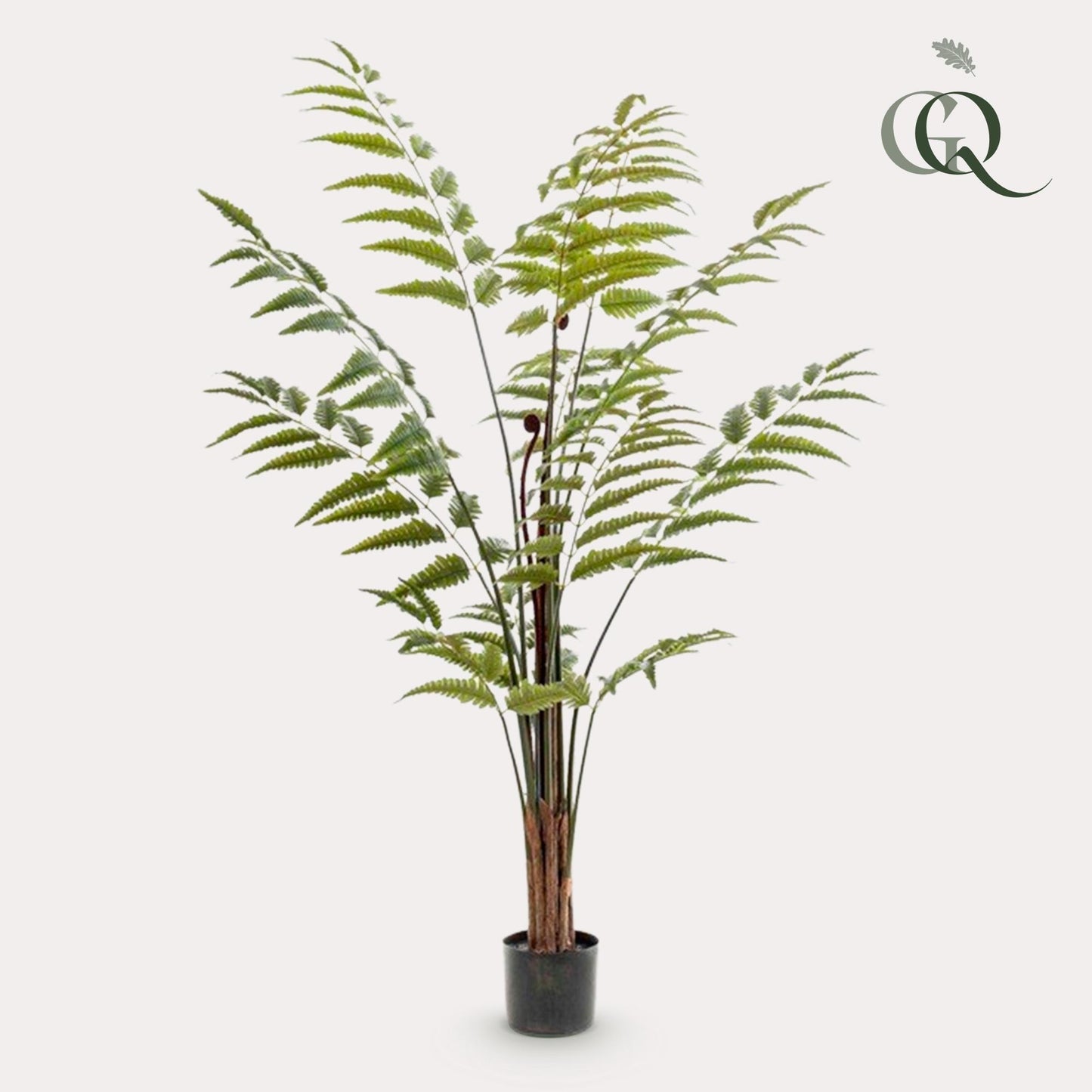 Kunstplant - Rumohra Adiantiformis - Ledervaren - 150 cm - Forest Plants