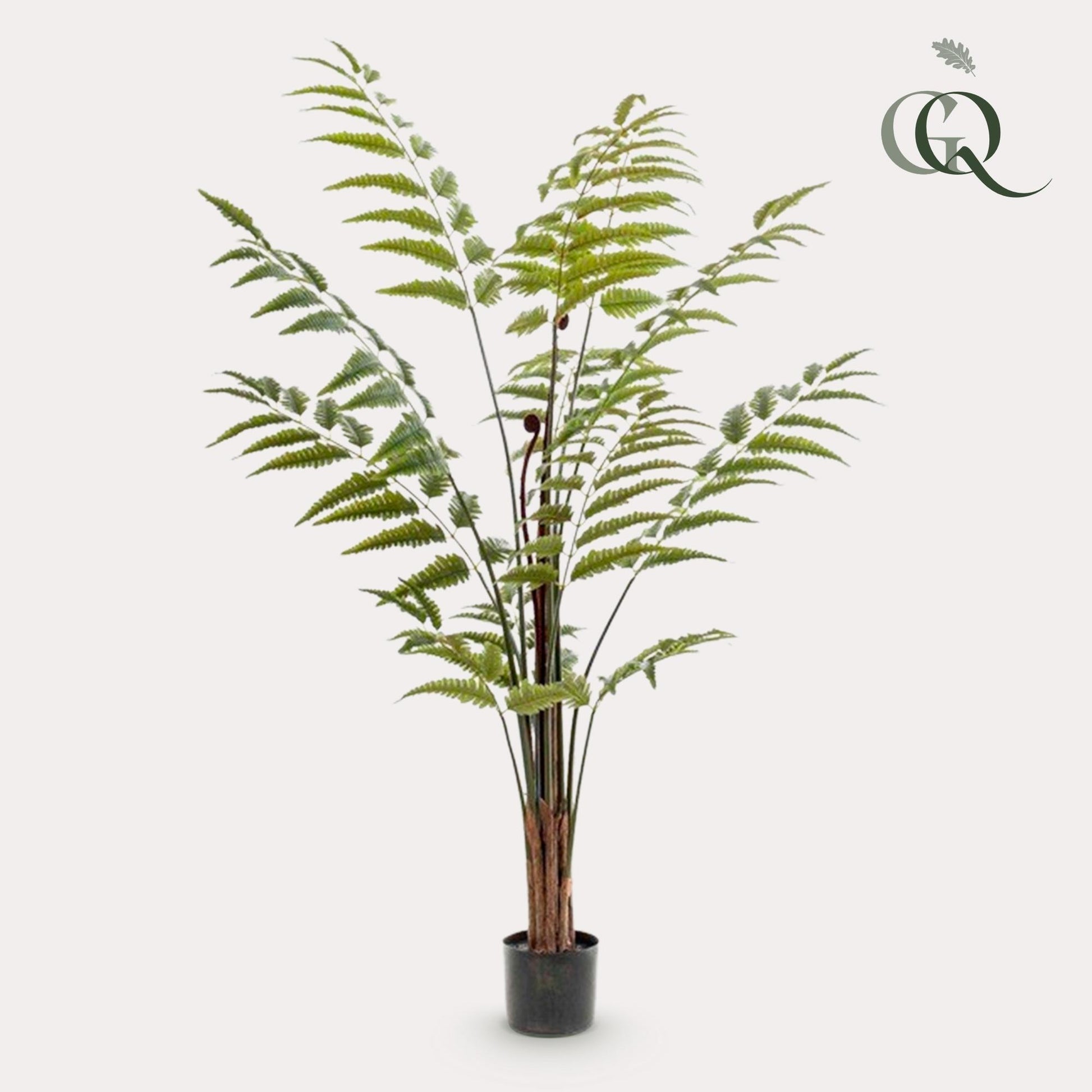 Kunstplant - Rumohra Adiantiformis - Ledervaren - 150 cm - Forest Plants