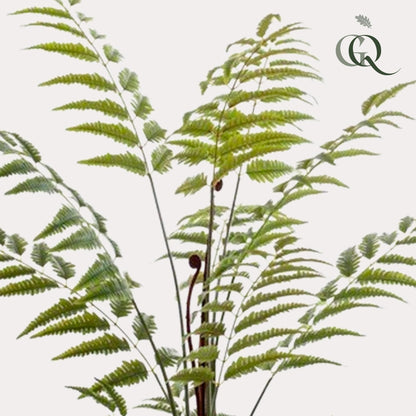 Kunstplant - Rumohra Adiantiformis - Ledervaren - 150 cm - Forest Plants