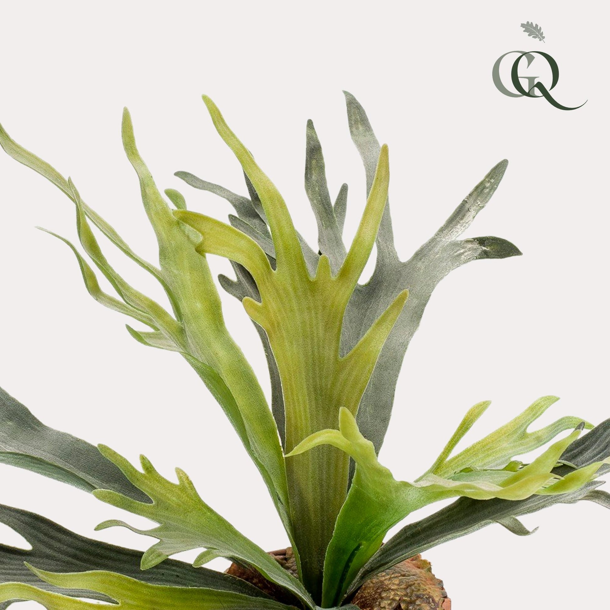 Kunstplant - Staghorn Fern - Hertshoorn - 50 cm - Forest Plants
