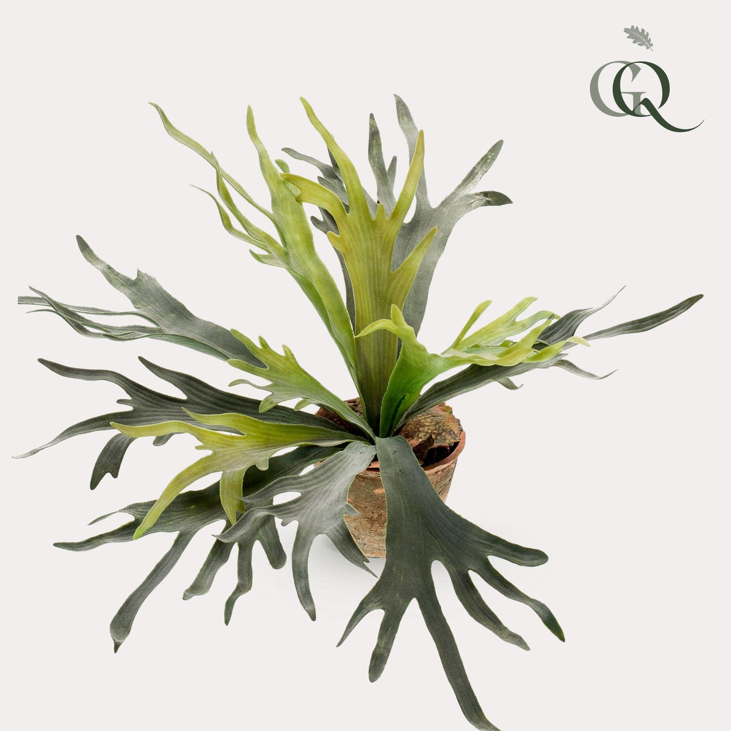 Kunstplant - Staghorn Fern - Hertshoorn - 50 cm - Forest Plants