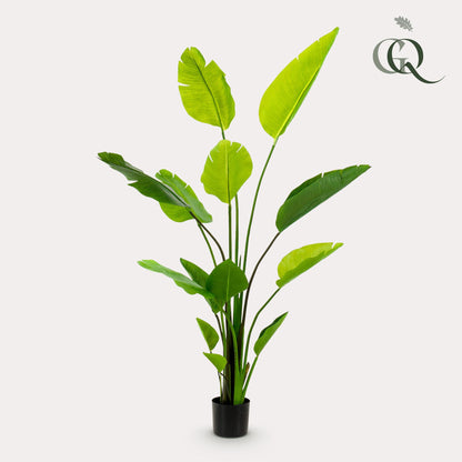Kunstplant - Strelitzia Nicolai - Paradijsvogelbloem - 150 cm - Forest Plants