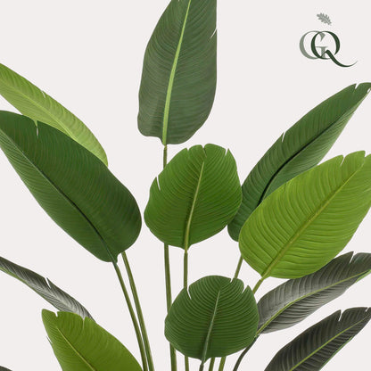 Kunstplant - Strelitzia Nicolai - Paradijsvogelbloem - 190 cm - Forest Plants