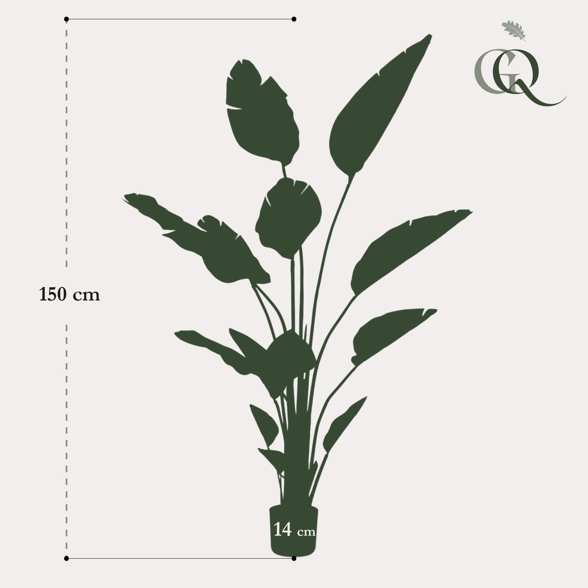 Kunstplant - Strelitzia Nicolai - Paradijsvogelbloem - 150 cm - Forest Plants