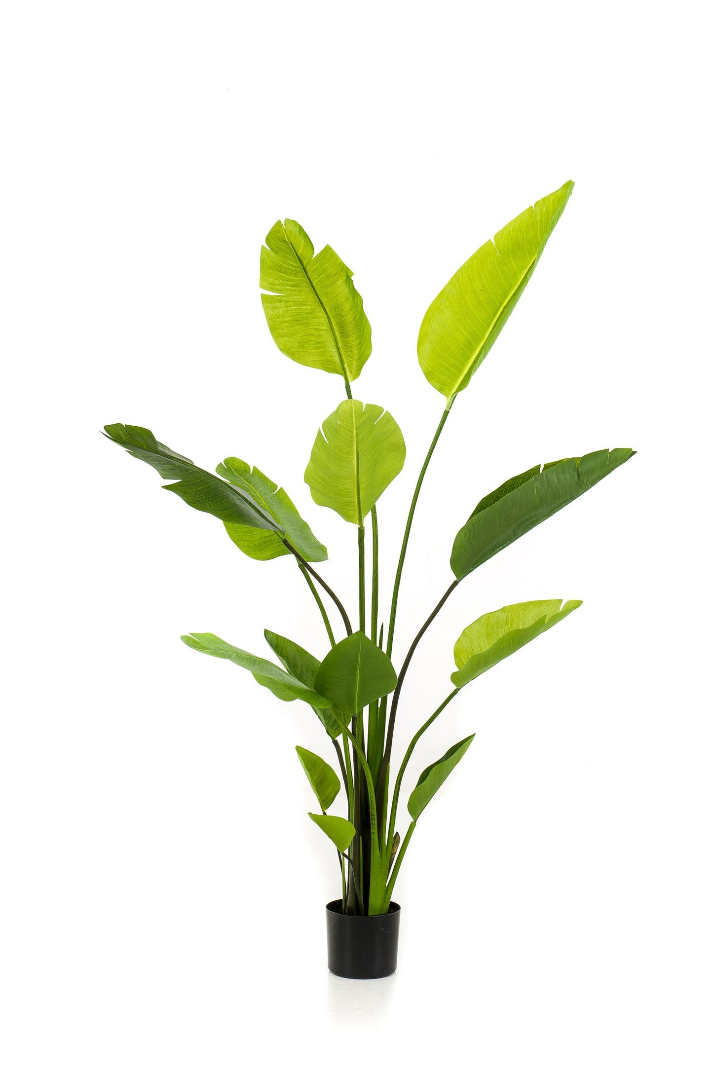 Kunstplant - Strelitzia Nicolai - Paradijsvogelbloem - 150 cm - Forest Plants