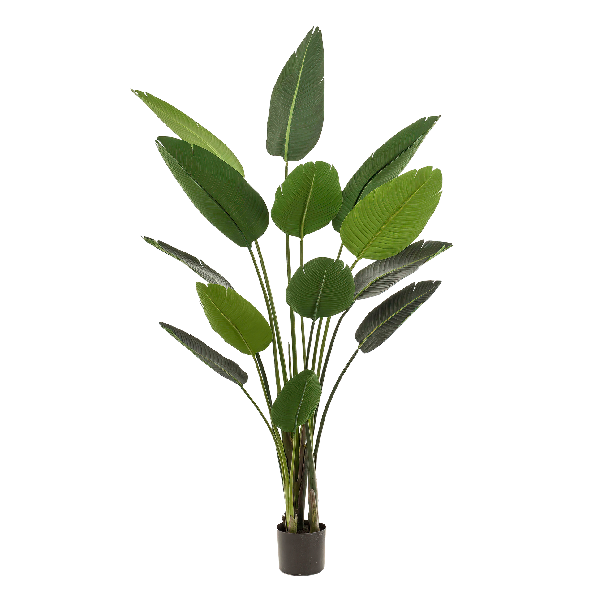 Kunstplant - Strelitzia Nicolai - Paradijsvogelbloem - 190 cm - Forest Plants