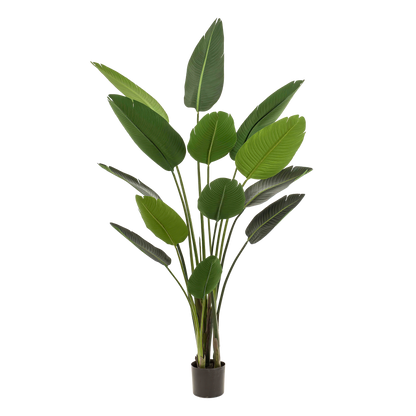 Kunstplant - Strelitzia Nicolai - Paradijsvogelbloem - 190 cm - Forest Plants
