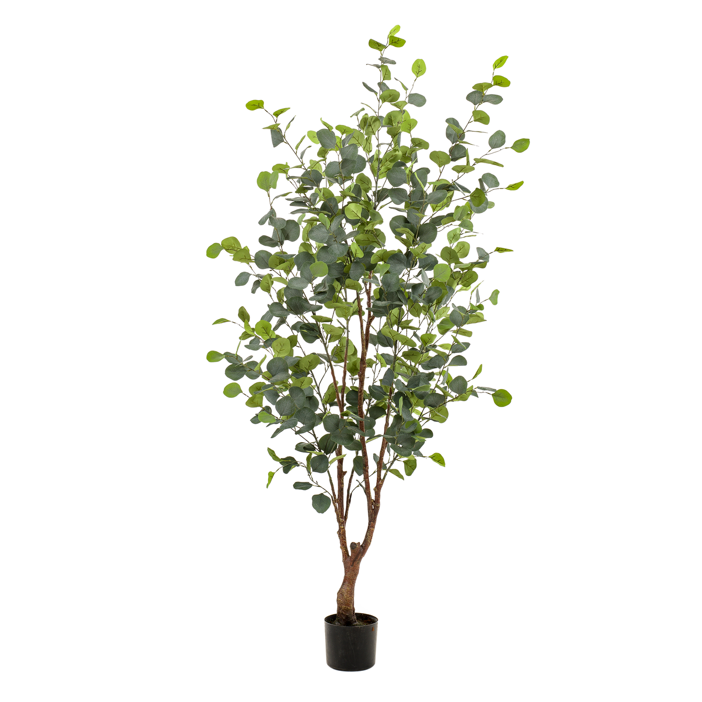 Kunstplant - Eucalyptus - Blauwe Gomboom  - 140 cm - Forest Plants