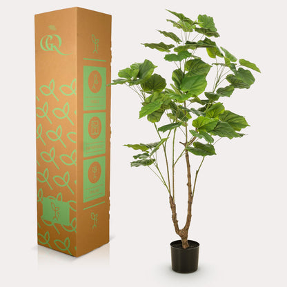 Kunstplant - Ficus umbellate - Afrikaanse vijg - 125 cm - Forest Plants