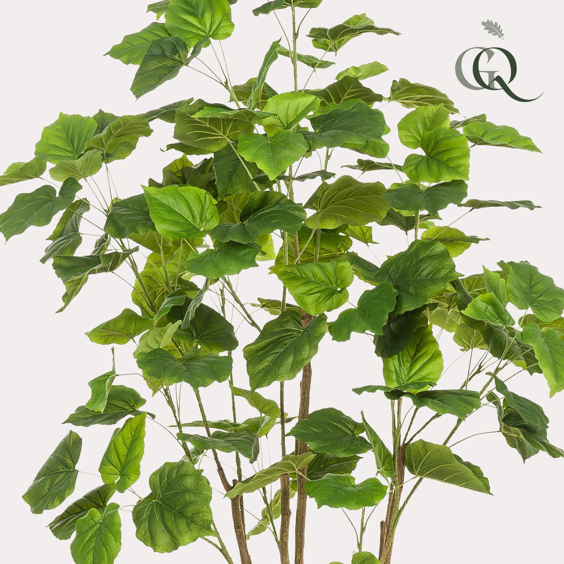 Kunstplant - Ficus umbellate - Afrikaanse vijg - 180 cm - Forest Plants