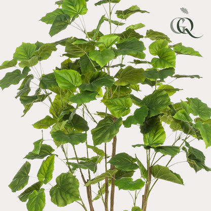 Kunstplant - Ficus umbellate - Afrikaanse vijg - 180 cm - Forest Plants
