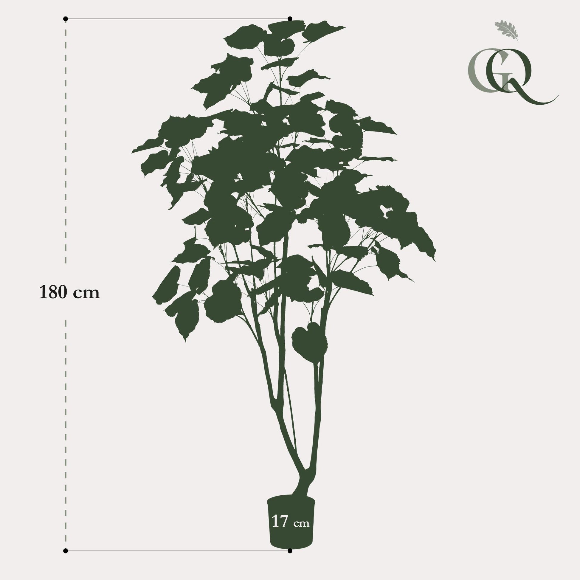 Kunstplant - Ficus umbellate - Afrikaanse vijg - 180 cm - Forest Plants