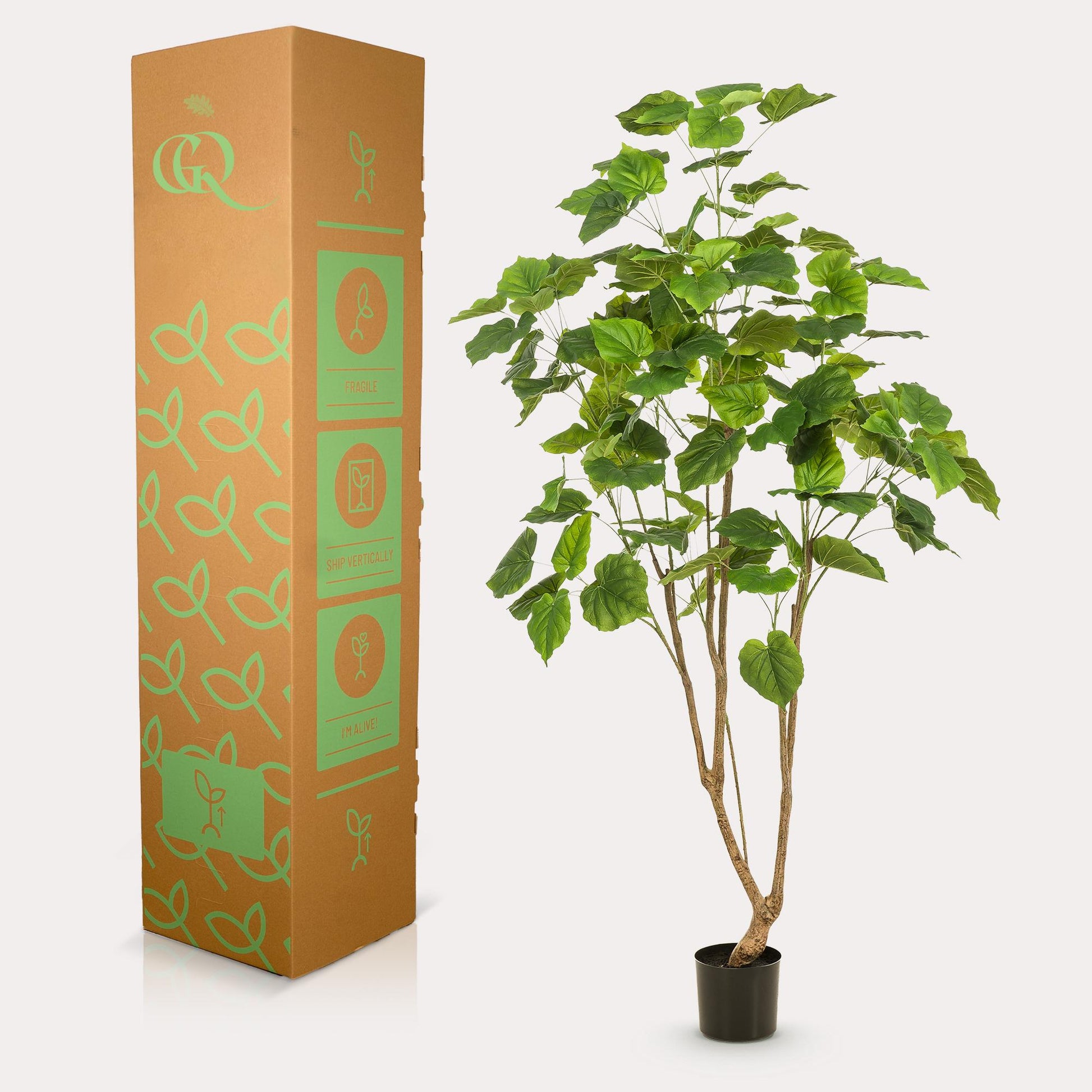 Kunstplant - Ficus umbellate - Afrikaanse vijg - 180 cm - Forest Plants