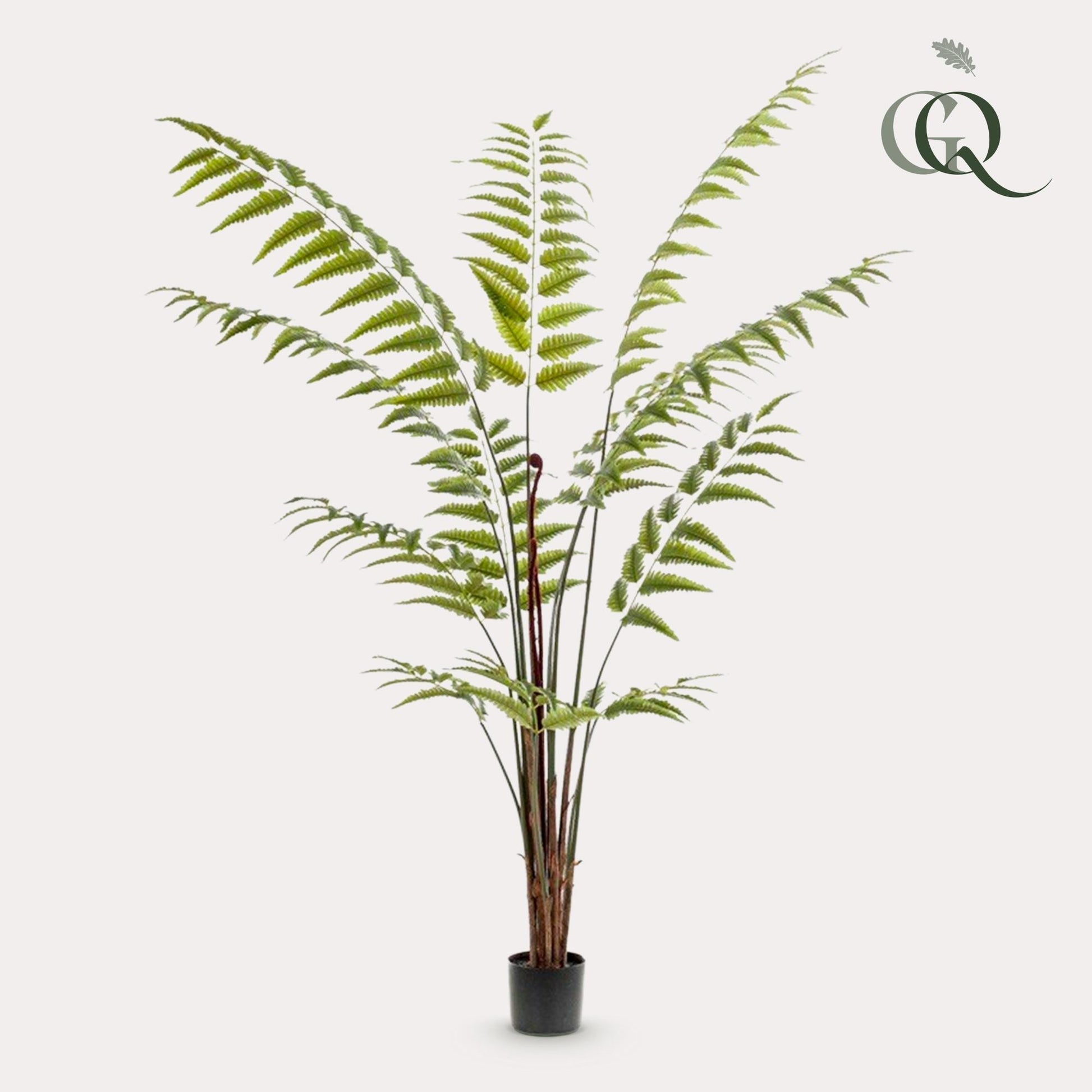 Kunstplant - Rumohra Adiantiformis - Ledervaren - 180 cm - Forest Plants