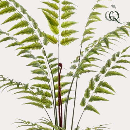 Kunstplant - Rumohra Adiantiformis - Ledervaren - 180 cm - Forest Plants