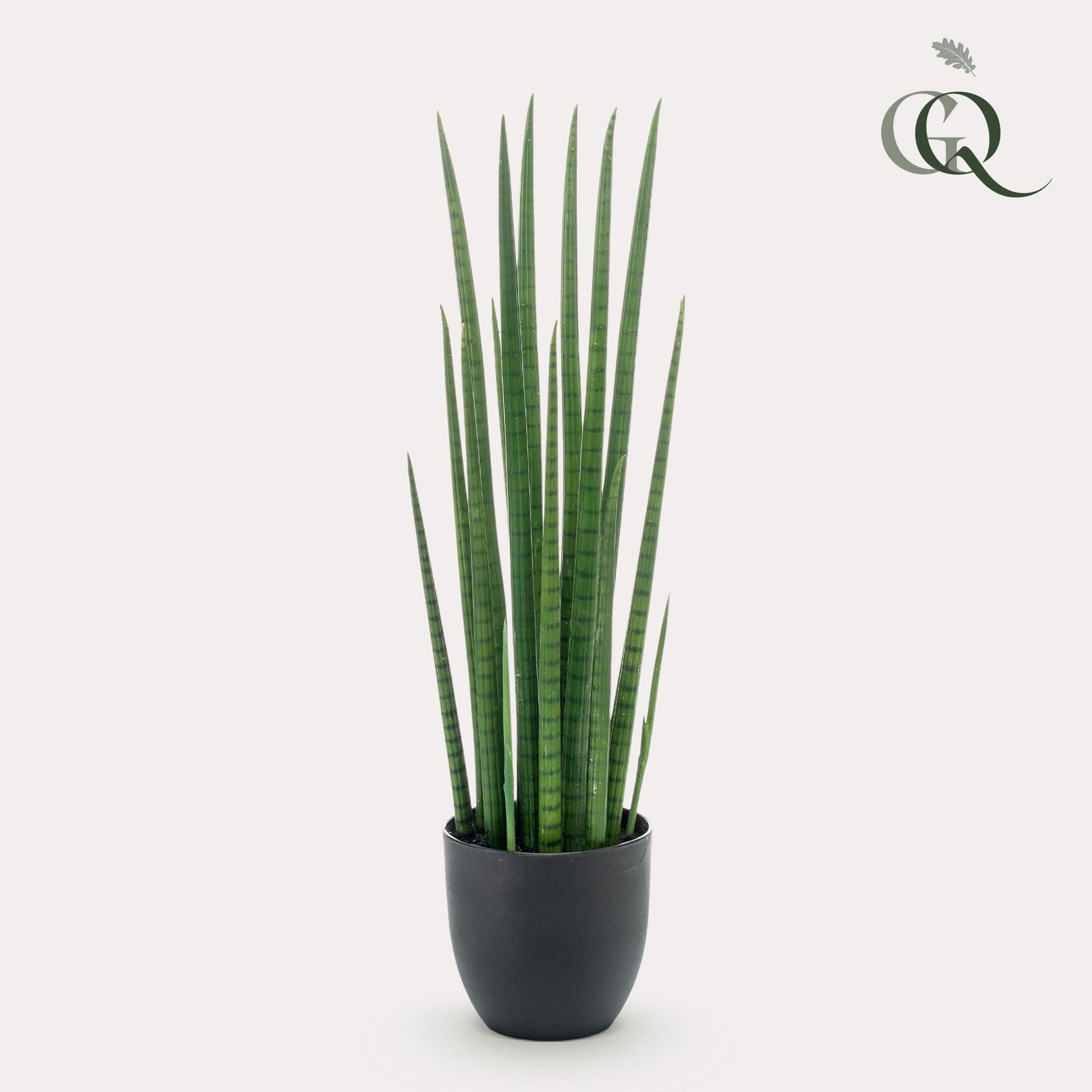 Kunstplant - Sanseveria Cylindrica - Vrouwentong - 70 cm - Forest Plants