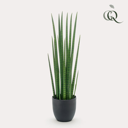 Kunstplant - Sanseveria Cylindrica - Vrouwentong - 70 cm - Forest Plants