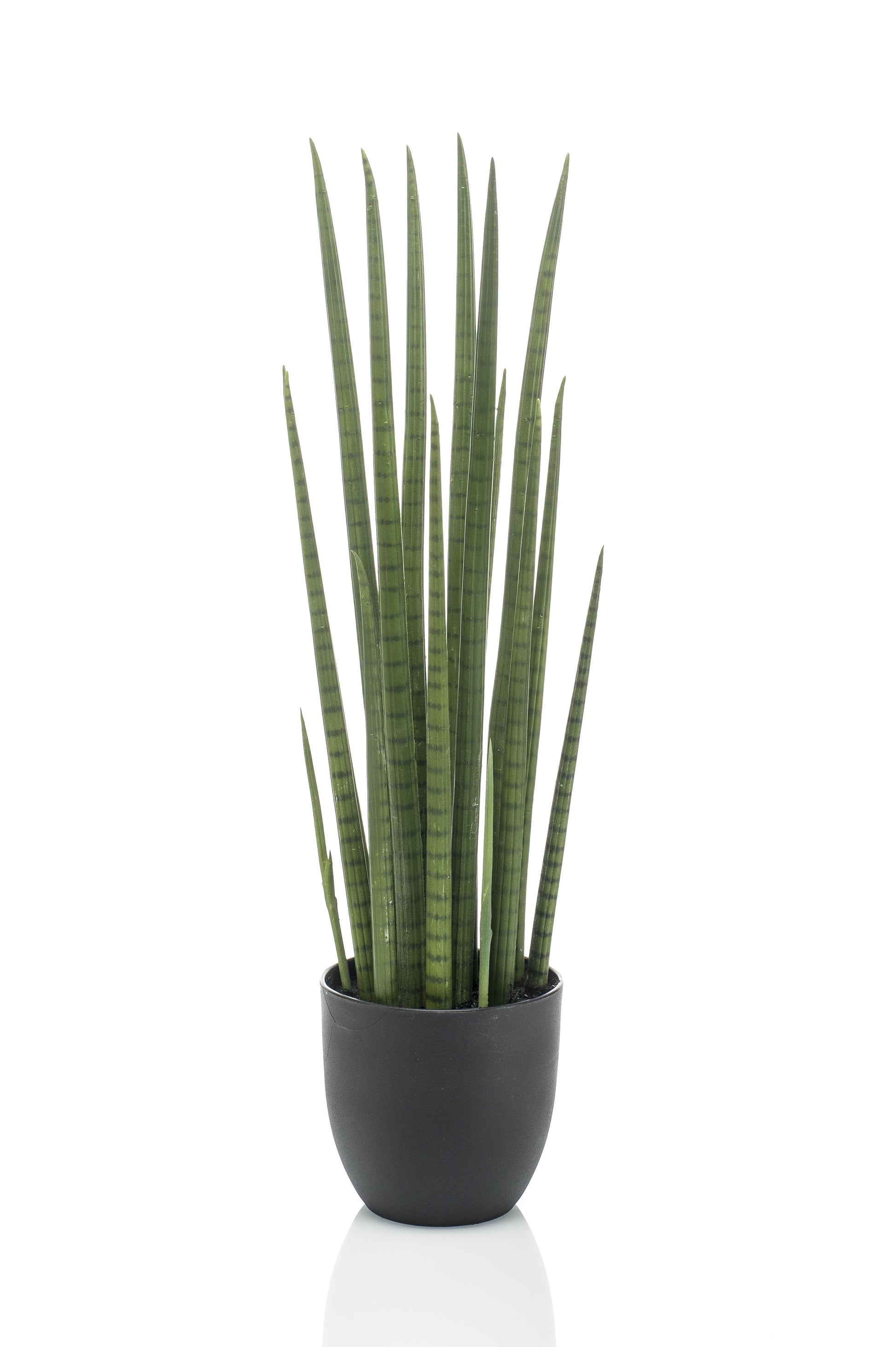 Kunstplant - Sanseveria Cylindrica - Vrouwentong - 70 cm - Forest Plants