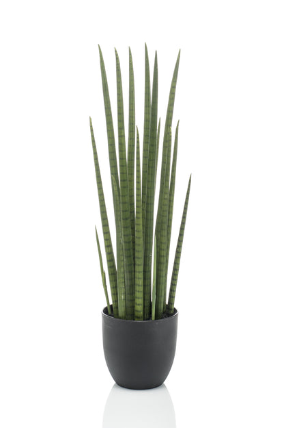 Kunstplant - Sanseveria Cylindrica - Vrouwentong - 70 cm - Forest Plants