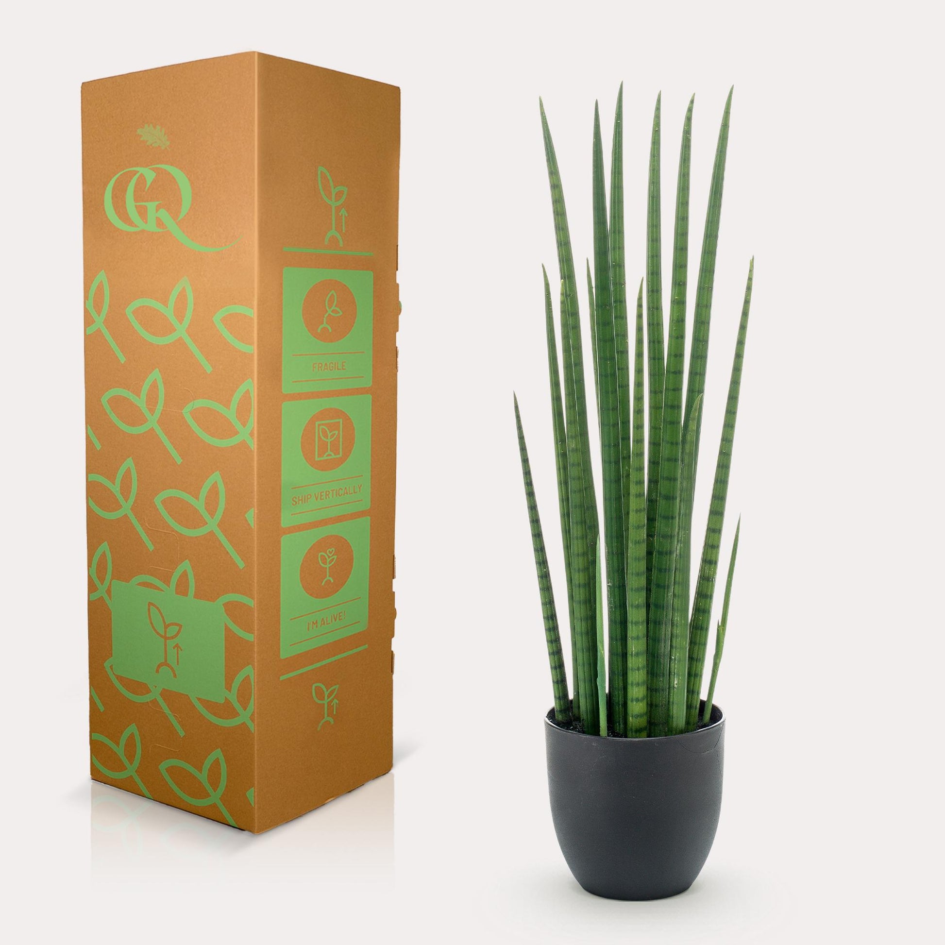 Kunstplant - Sanseveria Cylindrica - Vrouwentong - 70 cm - Forest Plants