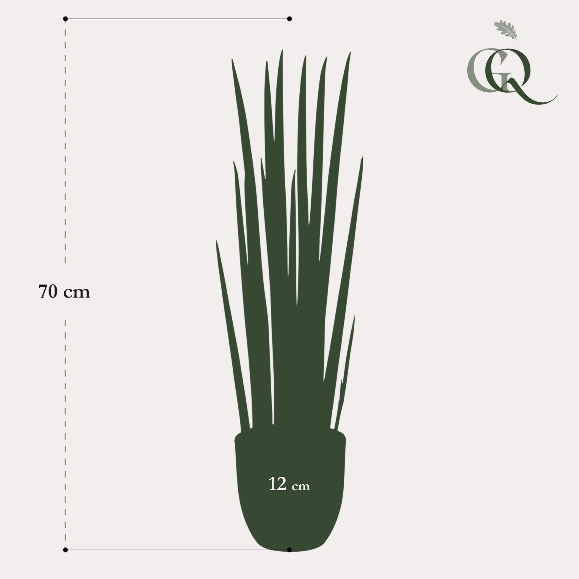 Kunstplant - Sanseveria Cylindrica - Vrouwentong - 70 cm - Forest Plants