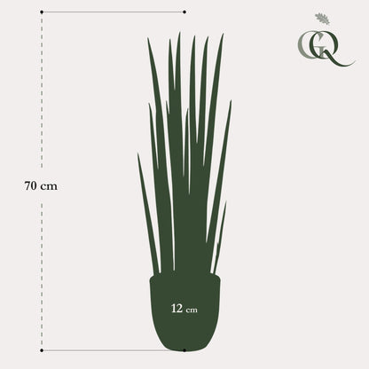 Kunstplant - Sanseveria Cylindrica - Vrouwentong - 70 cm - Forest Plants