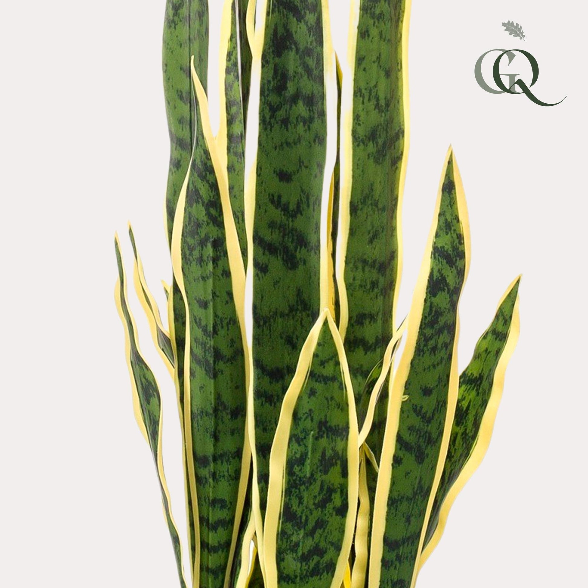 Kunstplant - Sanseveria Trifasciata - Vrouwentong - 97 cm - Forest Plants